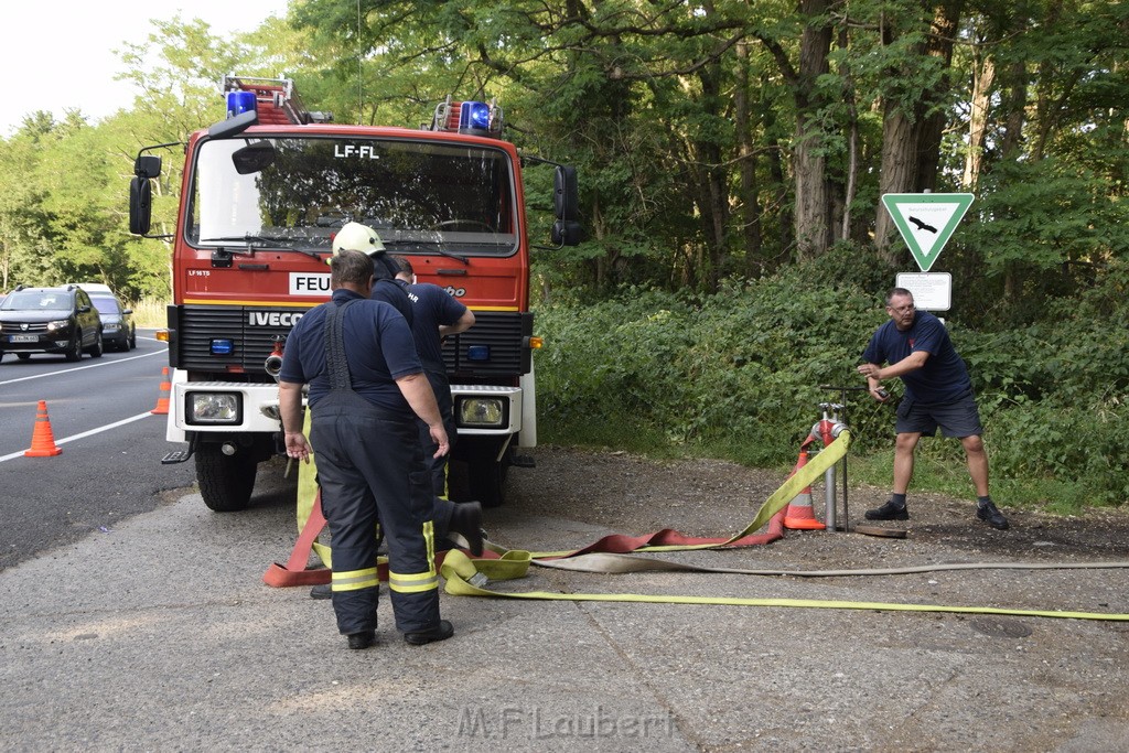 Waldbrand Koeln Hoehenhaus Hoehenfelder Mauspfad P015.JPG - Miklos Laubert